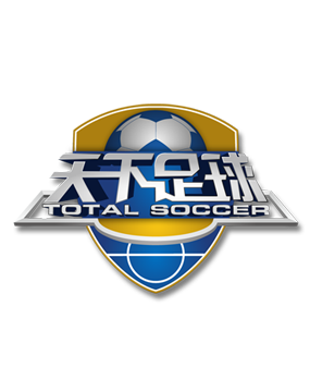 体系战胜对 体系战胜对