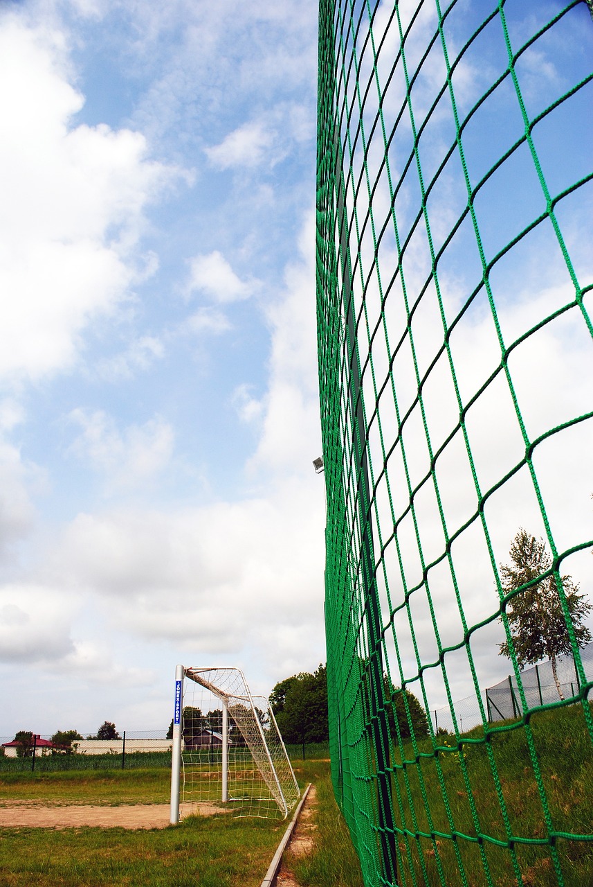 熟悉的场地 熟悉的场地