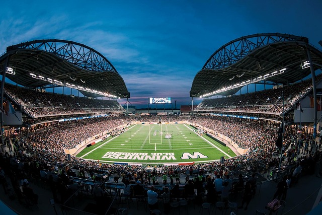 他们极可能 他们极可能