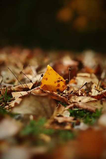 队的表现和 队的表现和