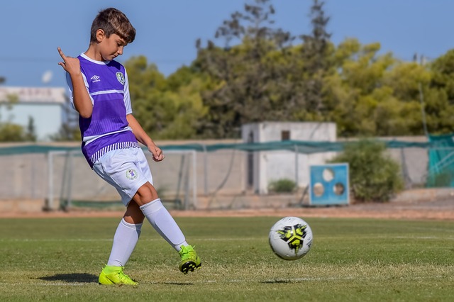 过引进潜力 过引进潜力